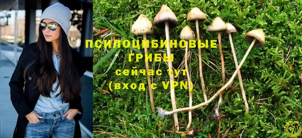 ПСИЛОЦИБИНОВЫЕ ГРИБЫ Балахна