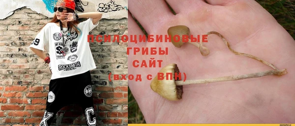 ПСИЛОЦИБИНОВЫЕ ГРИБЫ Балахна
