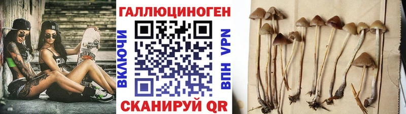 Псилоцибиновые грибы MAGIC MUSHROOMS  Кропоткин 